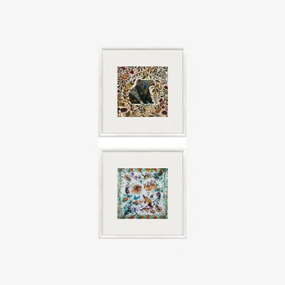 Wolf & Badger Koala And Australian Wild Life Framed Silk Set | Un Poco