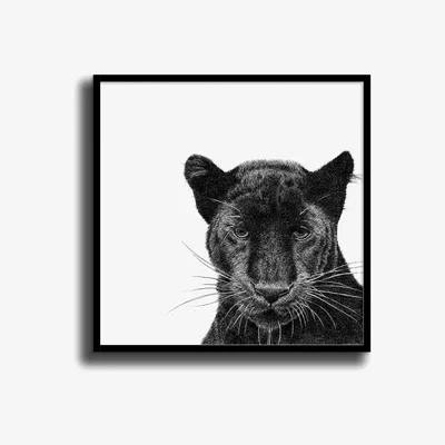 Wolf & Badger Peering Panther - Black Small Abi Overland Jersey