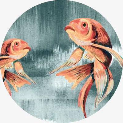 Wolf & Badger Yellow / Orange Circle Wall Sticker Koi Fishes Catchii