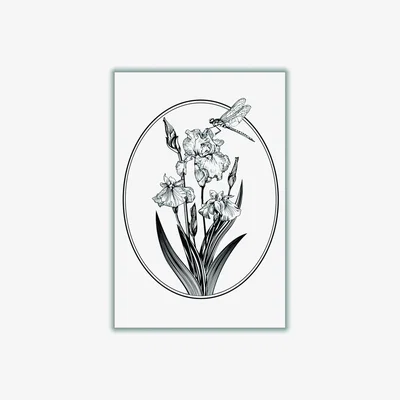 Wolf & Badger Grey Vintage Beautiful Flower A4 210 X 297Mm Stanley Print House