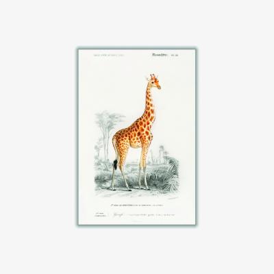 Wolf & Badger Yellow / Orange Giraffe Illustration Print Extra Small Stanley Print House
