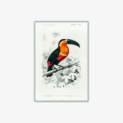 Wolf & Badger Yellow / Orange Toucan Small Stanley Print House