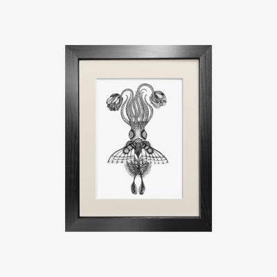 Wolf & Badger Black 'Tethidadoptera' Fine Art Print A4 Emily Carter