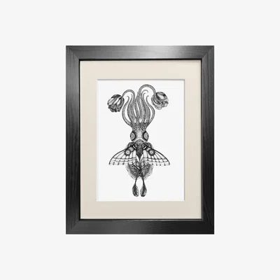 Wolf & Badger Black 'Tethidadoptera' Fine Art Print A4 Emily Carter