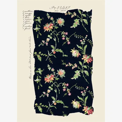 Wolf & Badger Midnight Blooms - A1 Print~Sisters