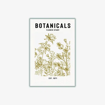 Wolf & Badger Brown Botanicals Flower Study Ii A1 594 X 841Mm Stanley Print House