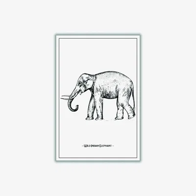 Wolf & Badger Black Wild Indian Elephant A3 297 X 420Mm Stanley Print House