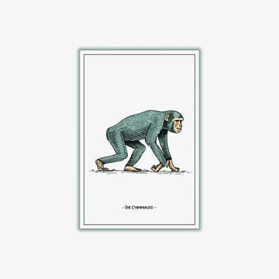 Wolf & Badger Grey The Chimpanzee Medium Stanley Print House