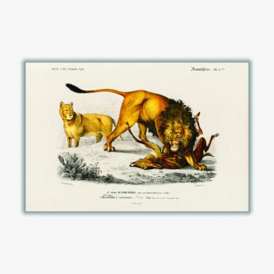 Wolf & Badger Yellow / Orange Lion Large Stanley Print House