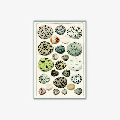 Wolf & Badger Neutrals Types Of Eggs Extra Small Stanley Print House