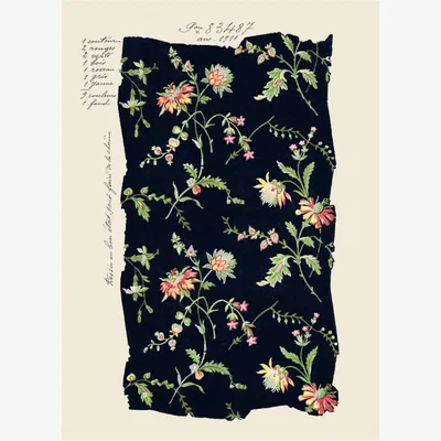 Wolf & Badger Midnight Blooms - 50X70 Print~Sisters