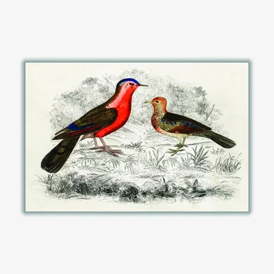 Wolf & Badger Yellow / Orange Hand Drawn Sketch Of Birds Xxs Stanley Print House