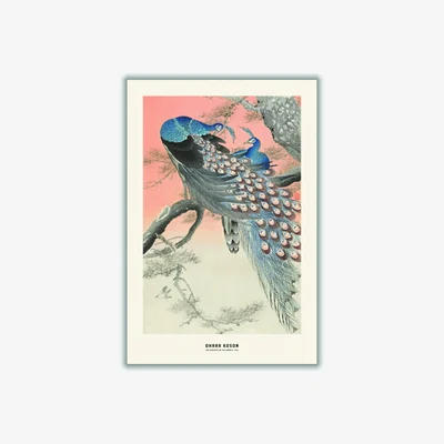 Wolf & Badger Blue Ohara Koson - Two Peacocks On Tree Branch Medium Stanley Print House