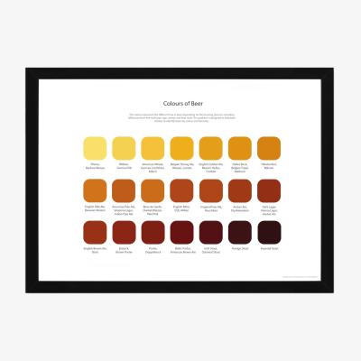 Wolf & Badger Beer Tasting Colour Map Studio Story