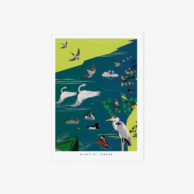Wolf & Badger Birds Of London Illustrated Art Print A3 297 X 420Mm Eye for London Prints