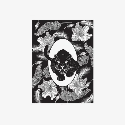 Wolf & Badger Elemental Panther Print Black & White The Curious Department