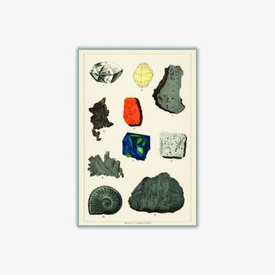 Wolf & Badger Colorful Gemstones A4 210 X 297Mm Stanley Print House