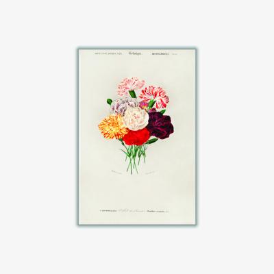 Wolf & Badger Yellow / Orange Carnation A4 210 X 297Mm Stanley Print House