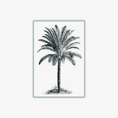 Wolf & Badger Black Vintage Palm Tree A4 210 X 297Mm Stanley Print House