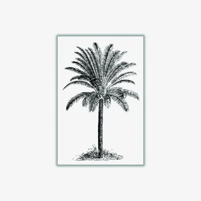 Wolf & Badger Black Vintage Palm Tree A4 210 X 297Mm Stanley Print House