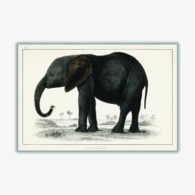 Wolf & Badger A Portrait Of A Dark Grey Elephant Xxs Stanley Print House