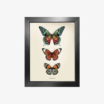 Wolf & Badger 'Antique Tropical Butterflies I' Fine Art Print A4 Emily Carter