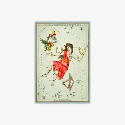 Wolf & Badger Yellow / Orange Astronomical Chart Illustration Of Gloria Frederici Andromeda A1 594 X 841Mm Stanley Print House