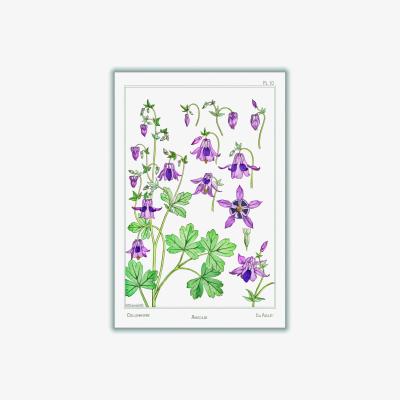Wolf & Badger Pink / Purple Vintage Botanicals - Ancolie Columbine Ii Medium Stanley Print House