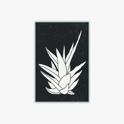 Wolf & Badger Black Agave #1 Xxs Stanley Print House