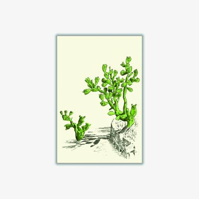 Wolf & Badger Green Prickly Pear Cactus A2 420 X 594Mm Stanley Print House