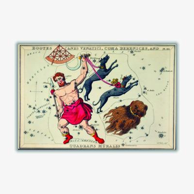Wolf & Badger Astronomical Chart Illustration Of Bootes Canes A3 297 X 420Mm Stanley Print House