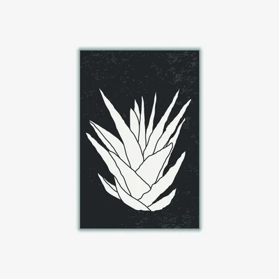 Wolf & Badger Black Agave #2 Xxs Stanley Print House
