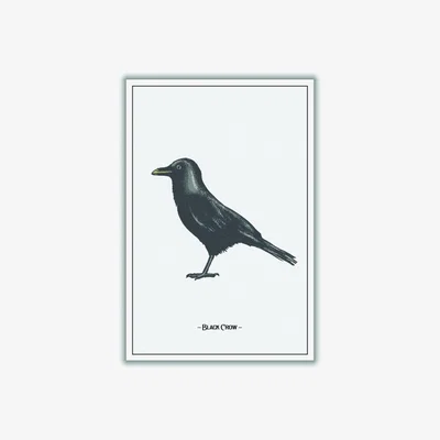 Wolf & Badger The Black Crow Medium Stanley Print House
