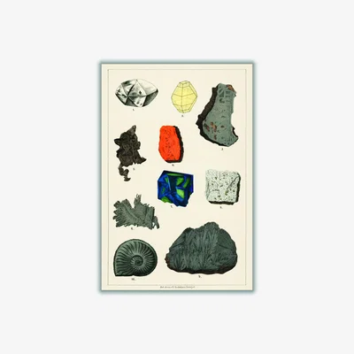 Wolf & Badger Colorful Gemstones A3 297 X 420Mm Stanley Print House