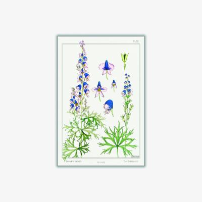 Wolf & Badger Vintage Botanicals - Aconite Green Medium Stanley Print House