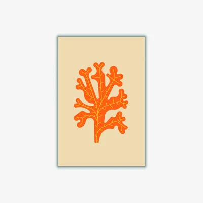 Wolf & Badger Yellow / Orange Orange Seaweed Xxs Stanley Print House