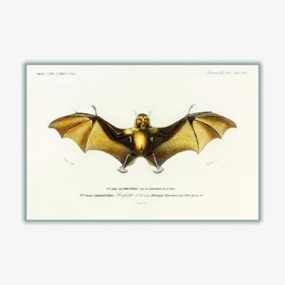 Wolf & Badger Gold Bat Large Stanley Print House