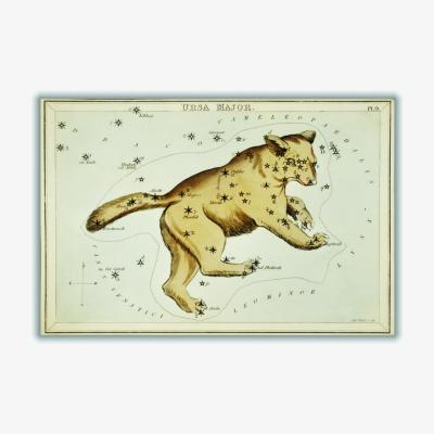 Wolf & Badger Gold Astronomical Chart Illustration Of The Ursa Major Medium Stanley Print House