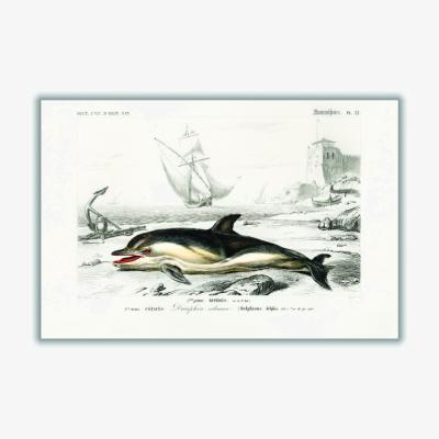 Wolf & Badger Black Delphinus Delphis Xxs Stanley Print House