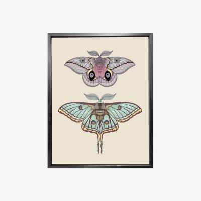 Wolf & Badger Antique Luna & Automeris Frankae Moths Fine Art Print A4 Emily Carter