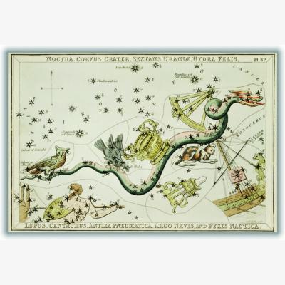 Wolf & Badger Neutrals Astronomical Chart Illustration Of The Noctua, Corvus A4 210 X 297Mm Stanley Print House