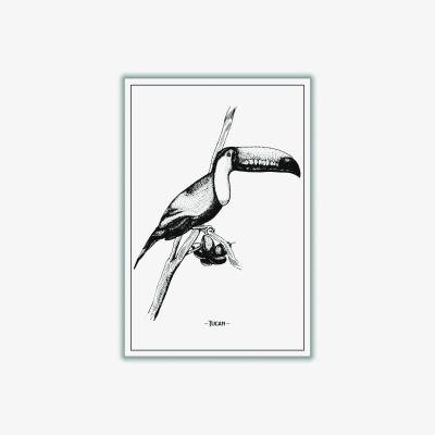 Wolf & Badger Black Tucan A2 420 X 594Mm Stanley Print House