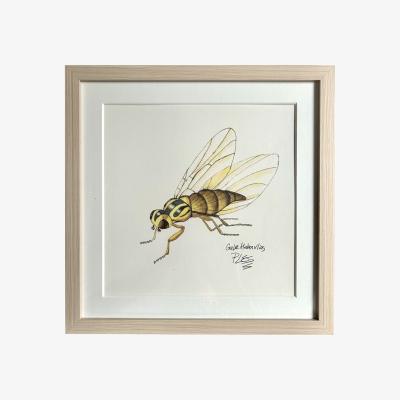 Wolf & Badger Yellow / Orange Painting Hover Fly Catchii