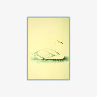 Wolf & Badger Yellow / Orange Vintage Swan Xxs Stanley Print House