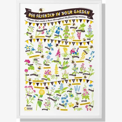 Wolf & Badger Bee Friendly A2 Print Stuart Gardiner Design
