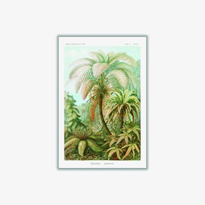 Wolf & Badger Green Filicinae-Laubfarne Ii By Ernst Haeckel A1 594 X 841Mm Stanley Print House