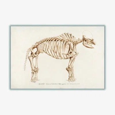 Wolf & Badger Gold Mammoth Skeleton Large Stanley Print House