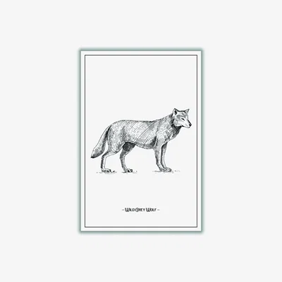 Wolf & Badger Wild Grey Wolf Medium Stanley Print House