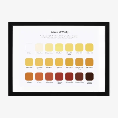 Wolf & Badger Black Whisky Tasting Colour Map Studio Story