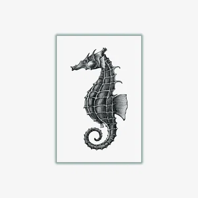 Wolf & Badger Black Seahorse Large Stanley Print House
